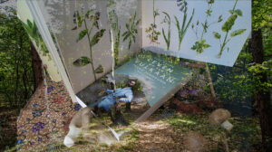 Leven op een Vulkaan Biografi Franz Junghuhn Karya Ulbe Bosma