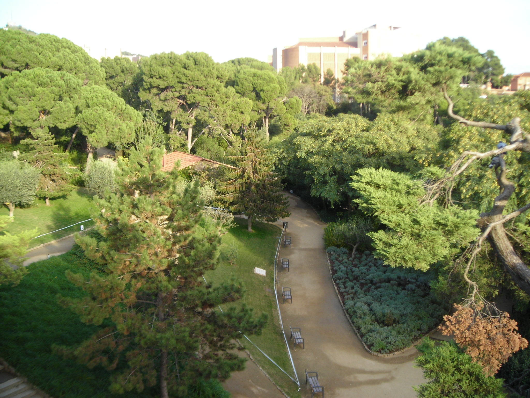 Kota Barcelona yang padat, namun terdapat banyak taman dan trotoar yang nyaman bagi warga kota (Foto diambil oleh Hengky Kurniawan)