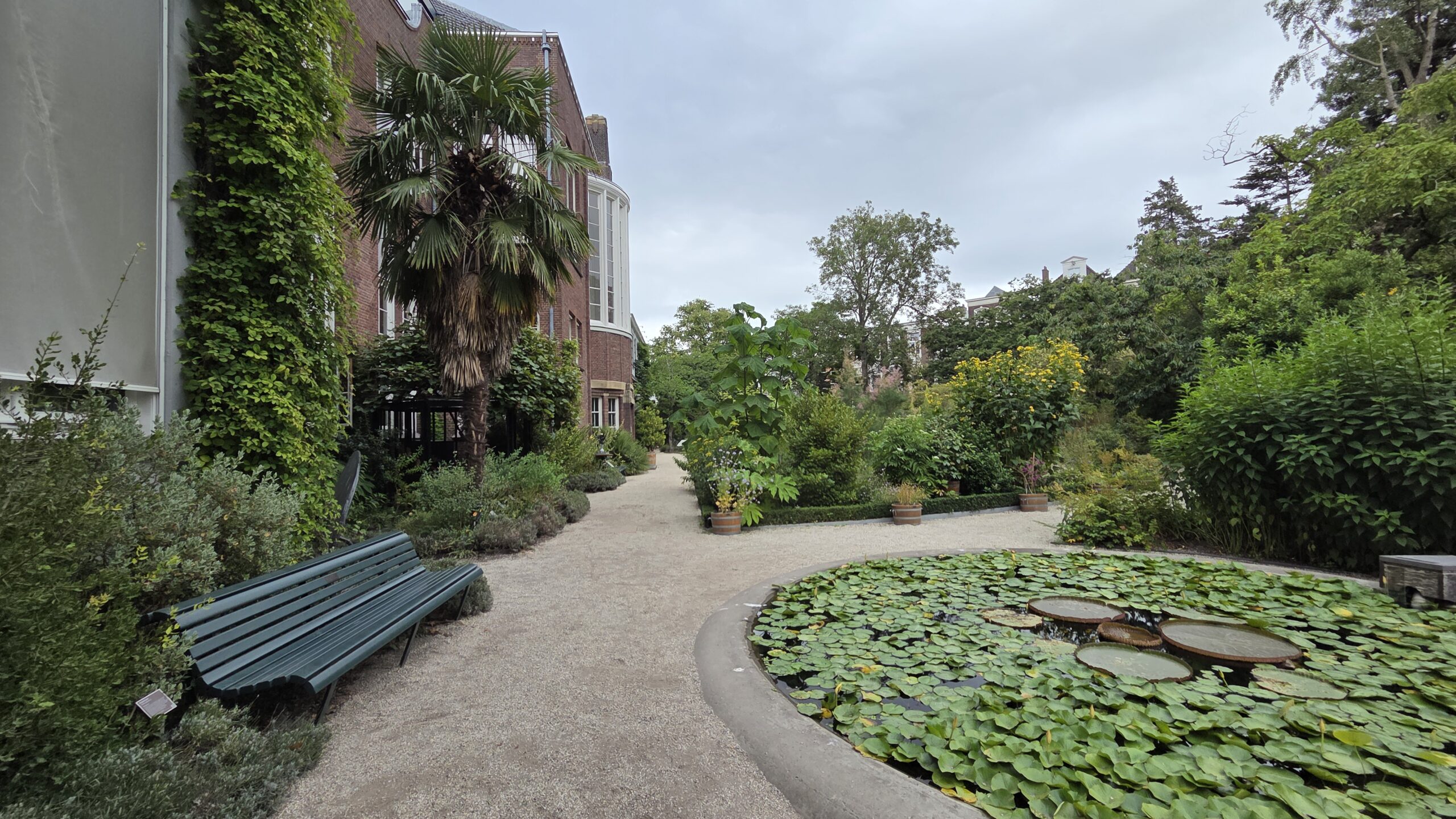 Suasana tenang di Hortus Botanicus Amsterdam (foto: Hengky Kurniawan)