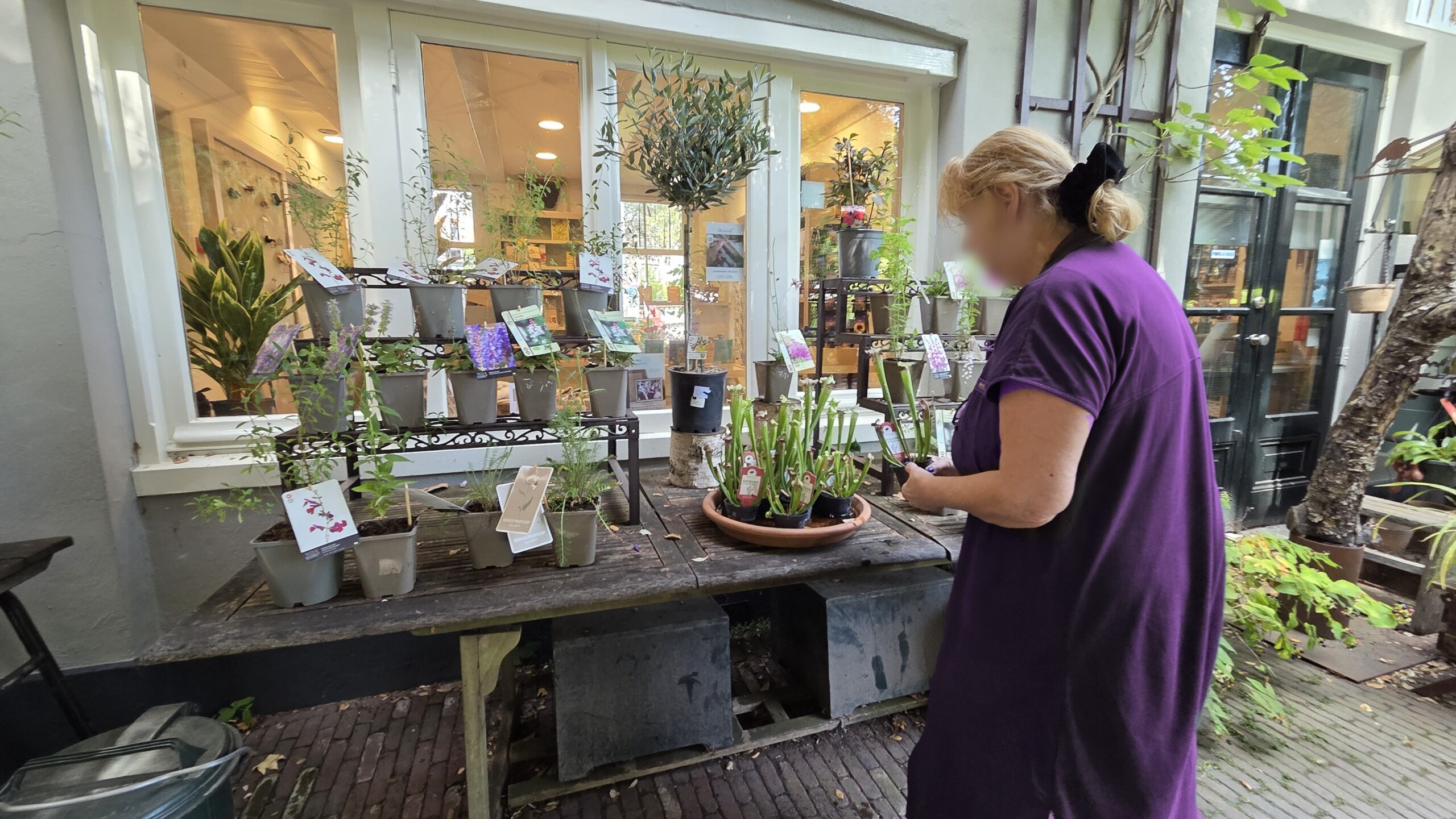 Pengunjung sedang memilih tanaman yang dijual Hortus Botanicus Amsterdam (foto: Hengky Kurniawan)
